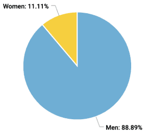 our engineering team pie chart