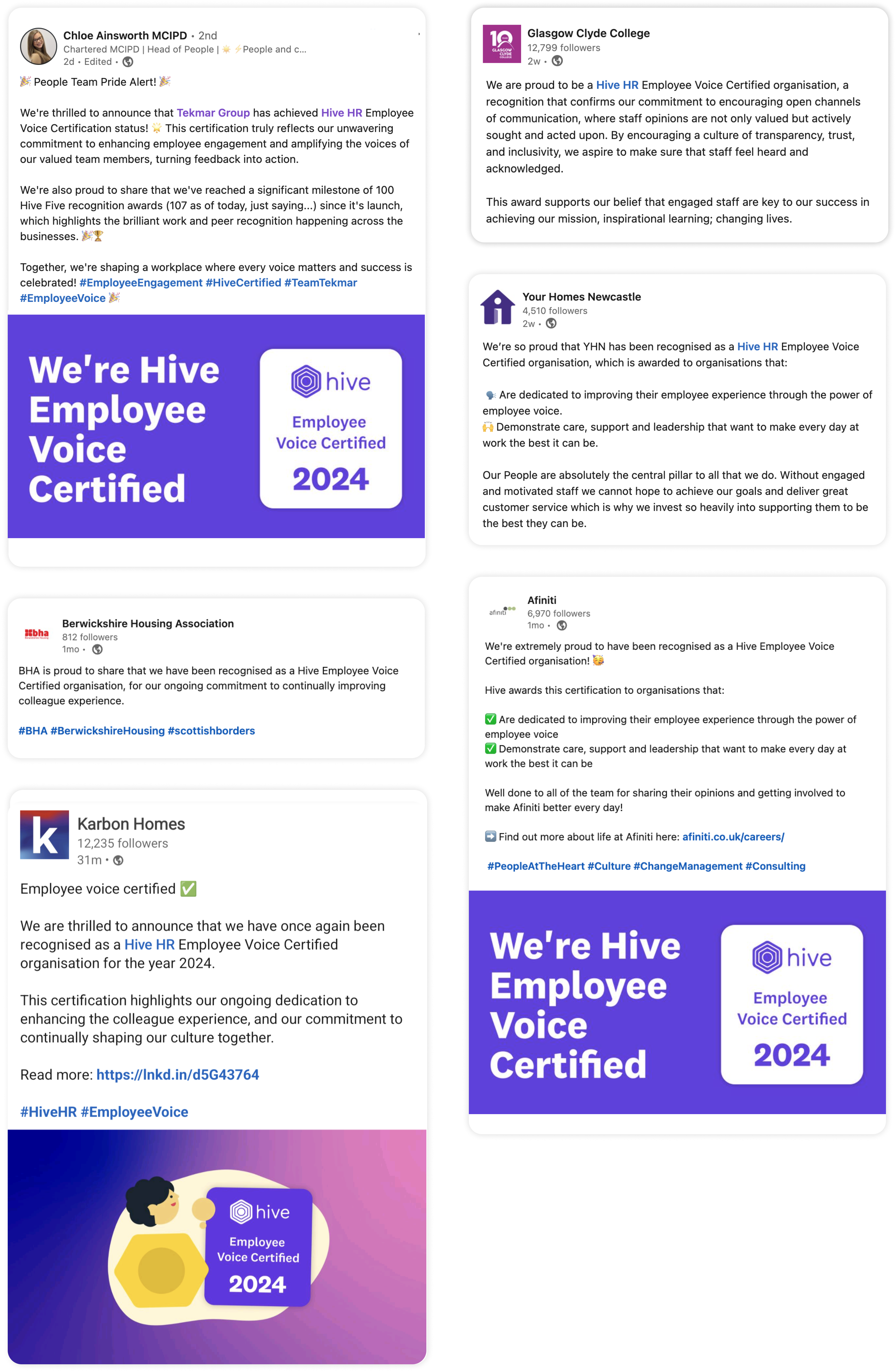 Hive Employee Voice Certified Customer Posts